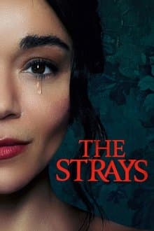 The Strays's Poster